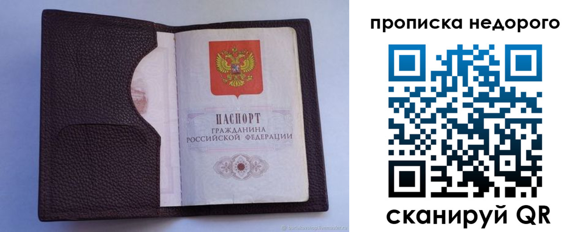 прописка законно в Карпинске